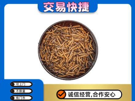吉安高价回收散虫草